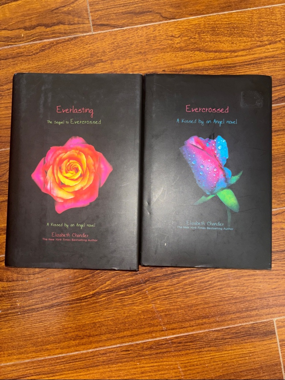 📚2 Book Bundle | Elizabeth Chandler | Evercrossed & Everlasting 💜💙